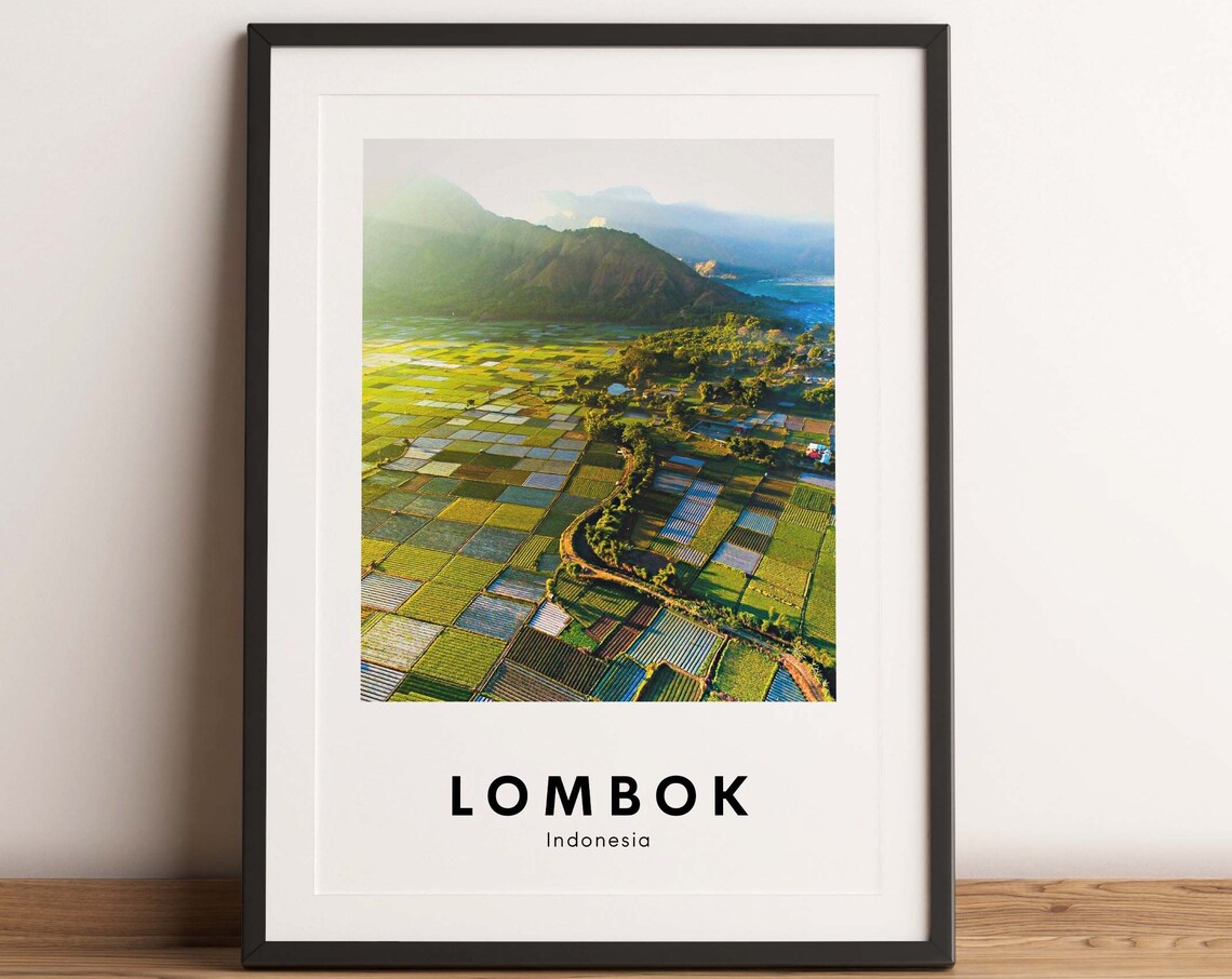 Lombok Indonesia Aerial Rice Paddies Volcano Travel Photo Poster