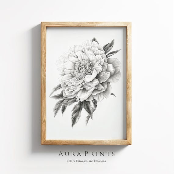 Vintage Peony Botanical Pencil Sketch Neutral Wall Decor Farmhouse Cottage Gift Antique Nursery Art 1131