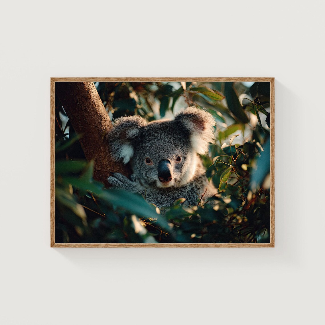Koala Fine Art Print Australian Wildlife Eucalyptus Tree