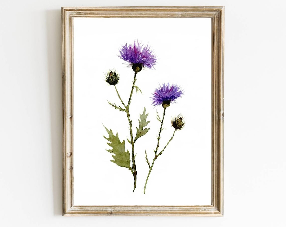 Thistle Watercolor Botanical Art Print, Farmhouse