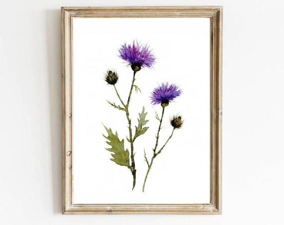 Thistle Watercolor Botanical Art Print, Farmhouse