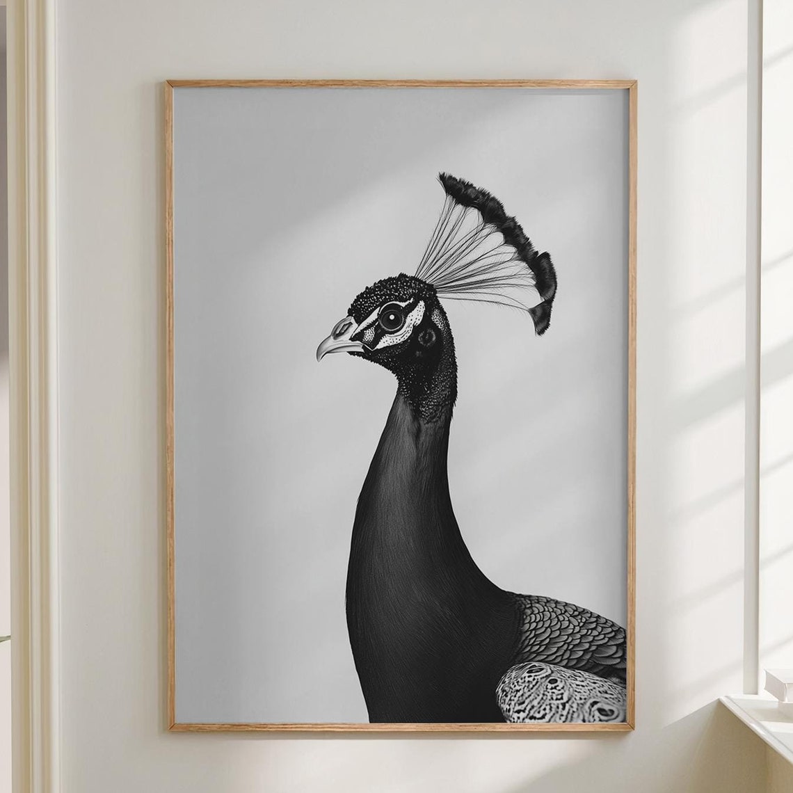 Black and White Peacock Side Profile Portrait Photography Poster