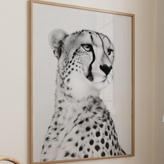 Black and White Cheetah Profile Looking Aside Photography Poster