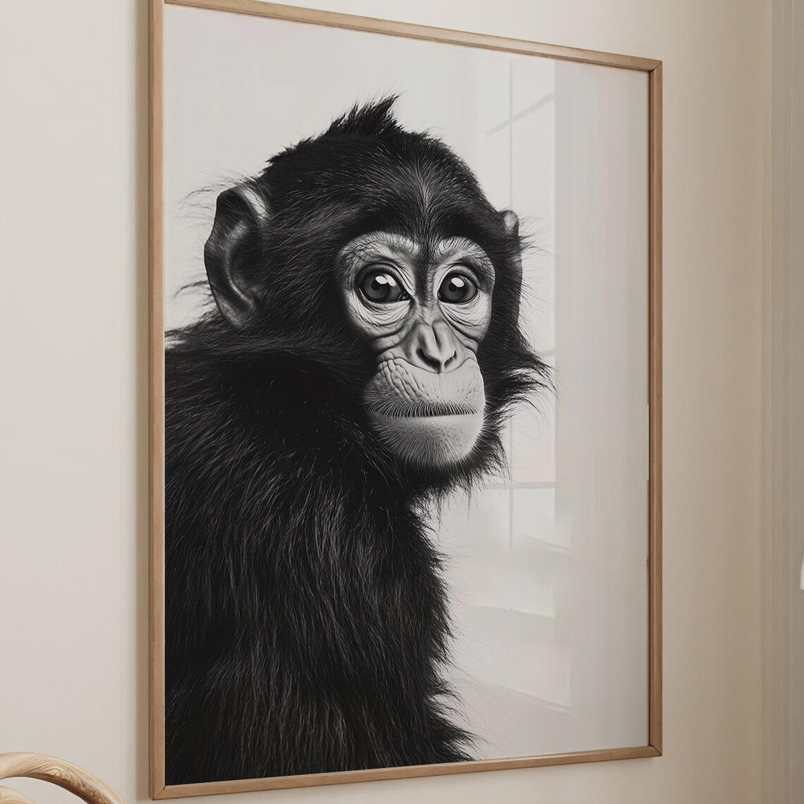 Baby Chimpanzee Black and White Portrait Animal Photography Wall Art