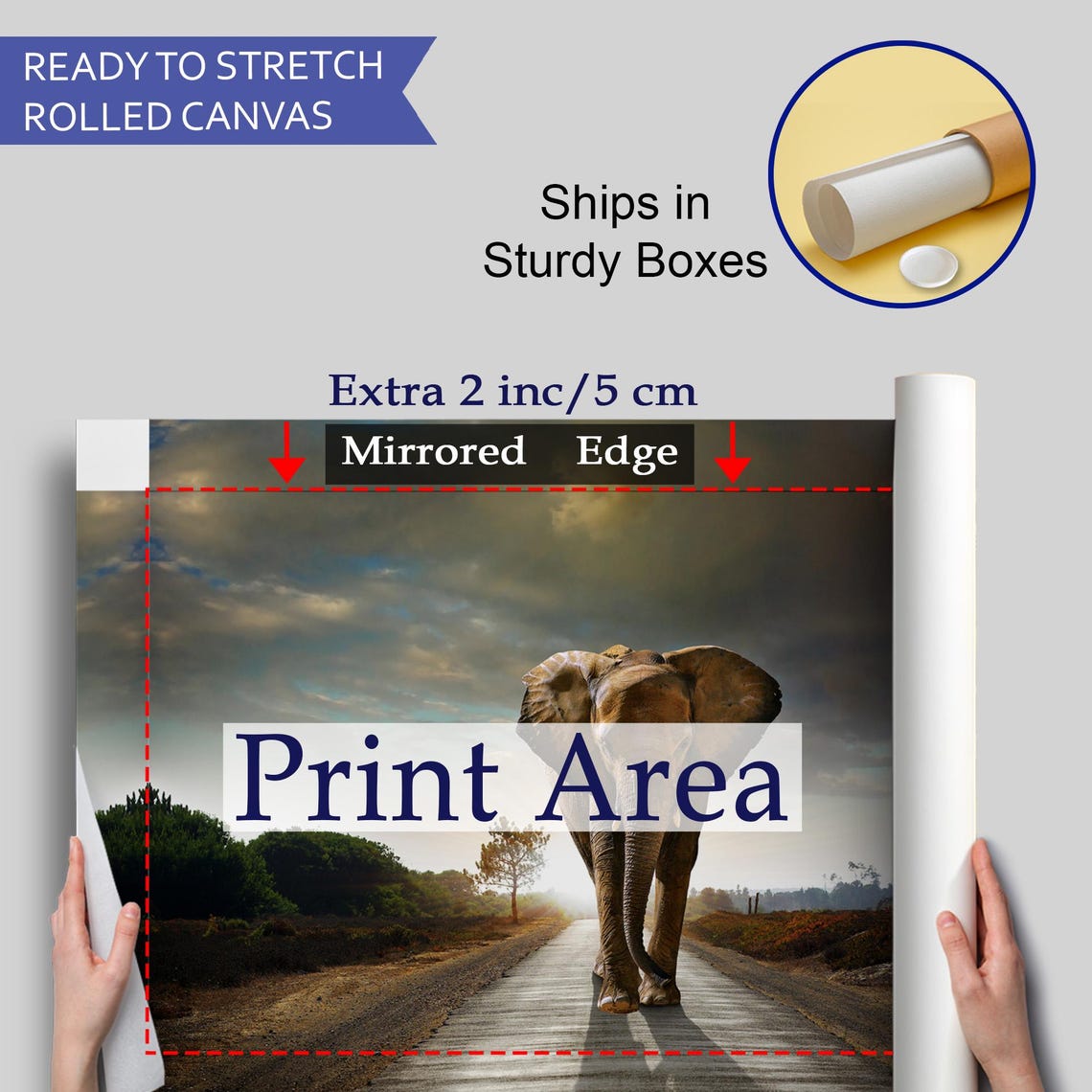 Elephant Walking Down Dirt Road Toward Camera Dramatic Sky Poster - Image 4
