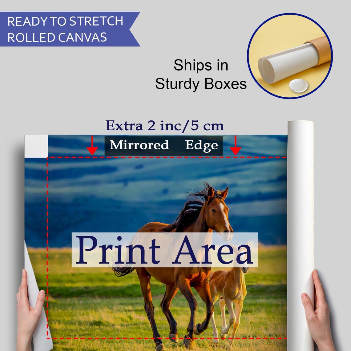 Chestnut Mare And Foal Running Green Pasture Sunset Horse Wall Art - Image 4