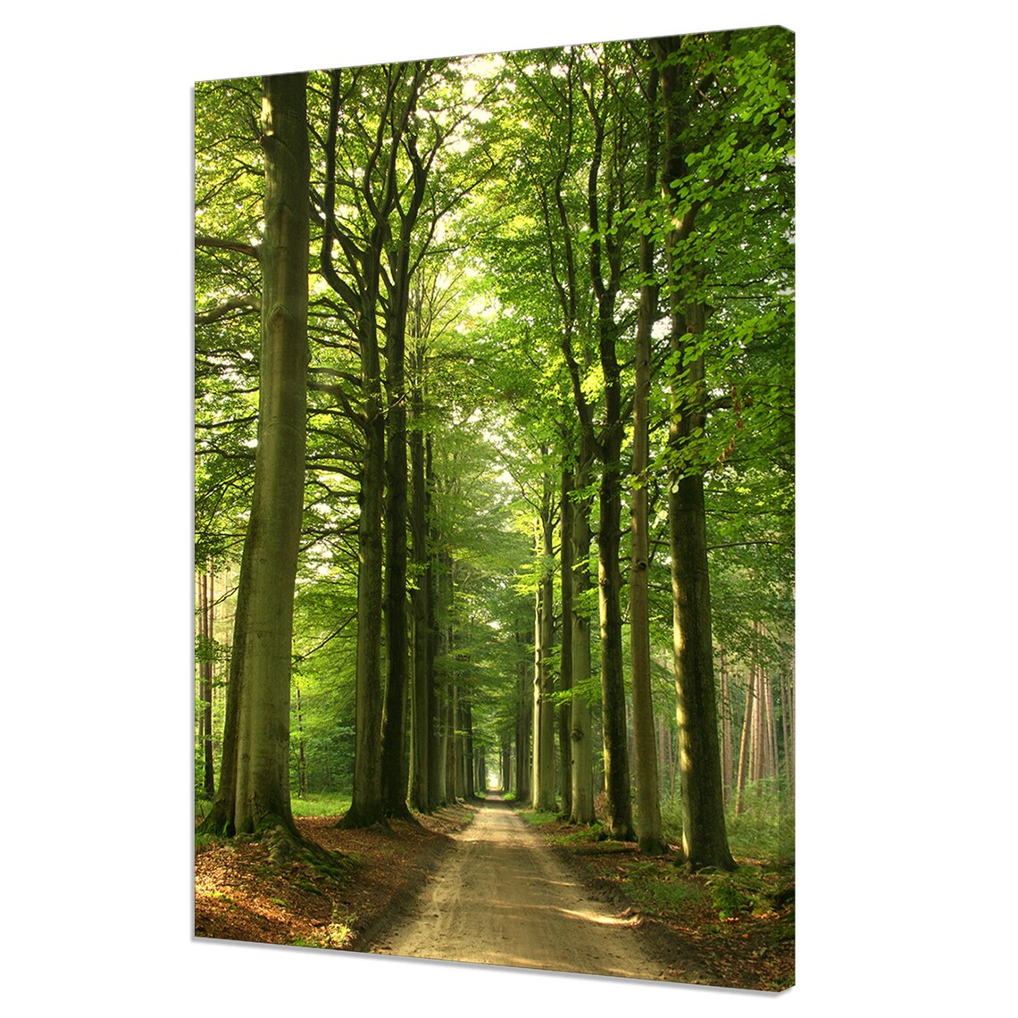 Green Forest Road, Modern Design Art Print