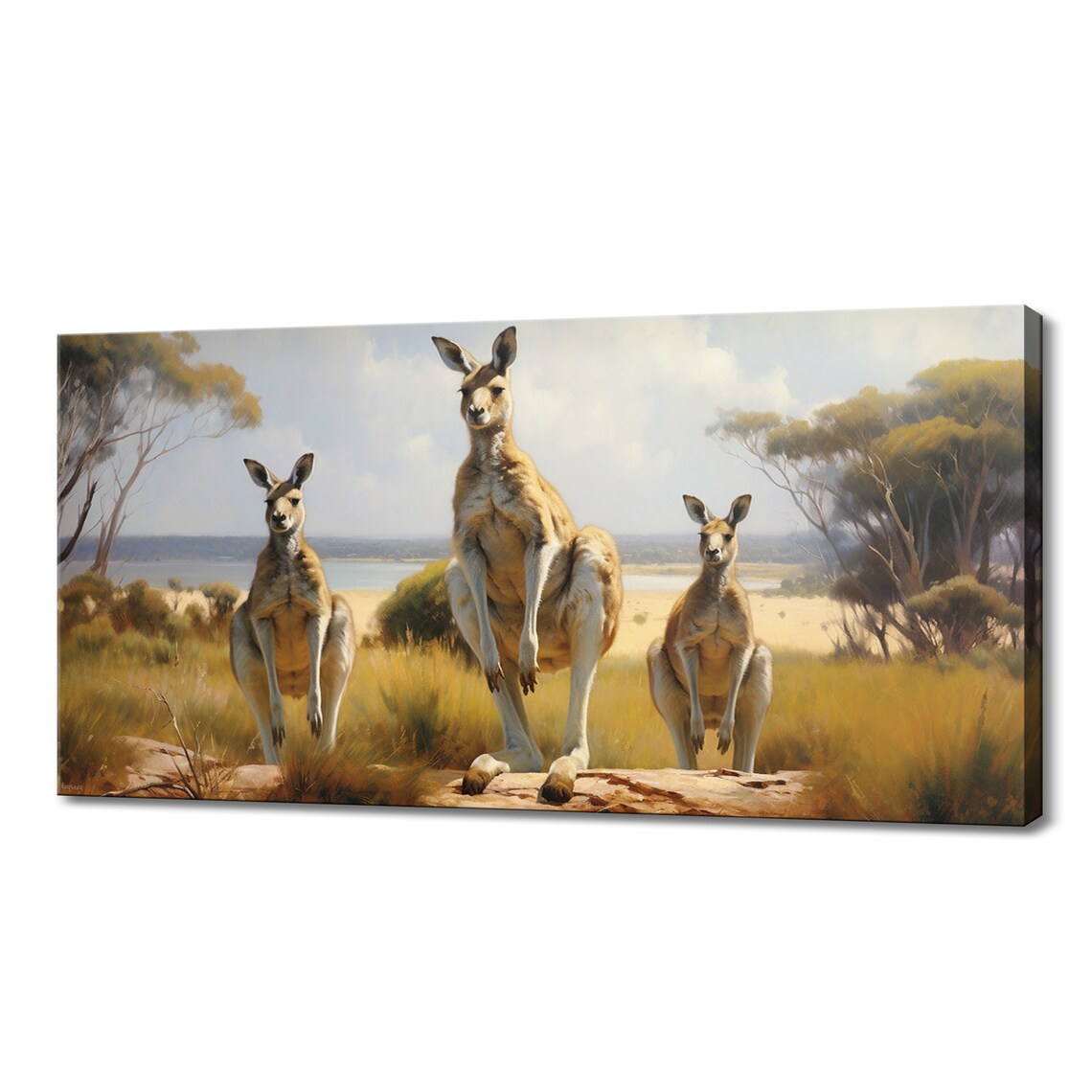 Three Kangaroos Grassland Painting Golden Light Australian Nature Poster