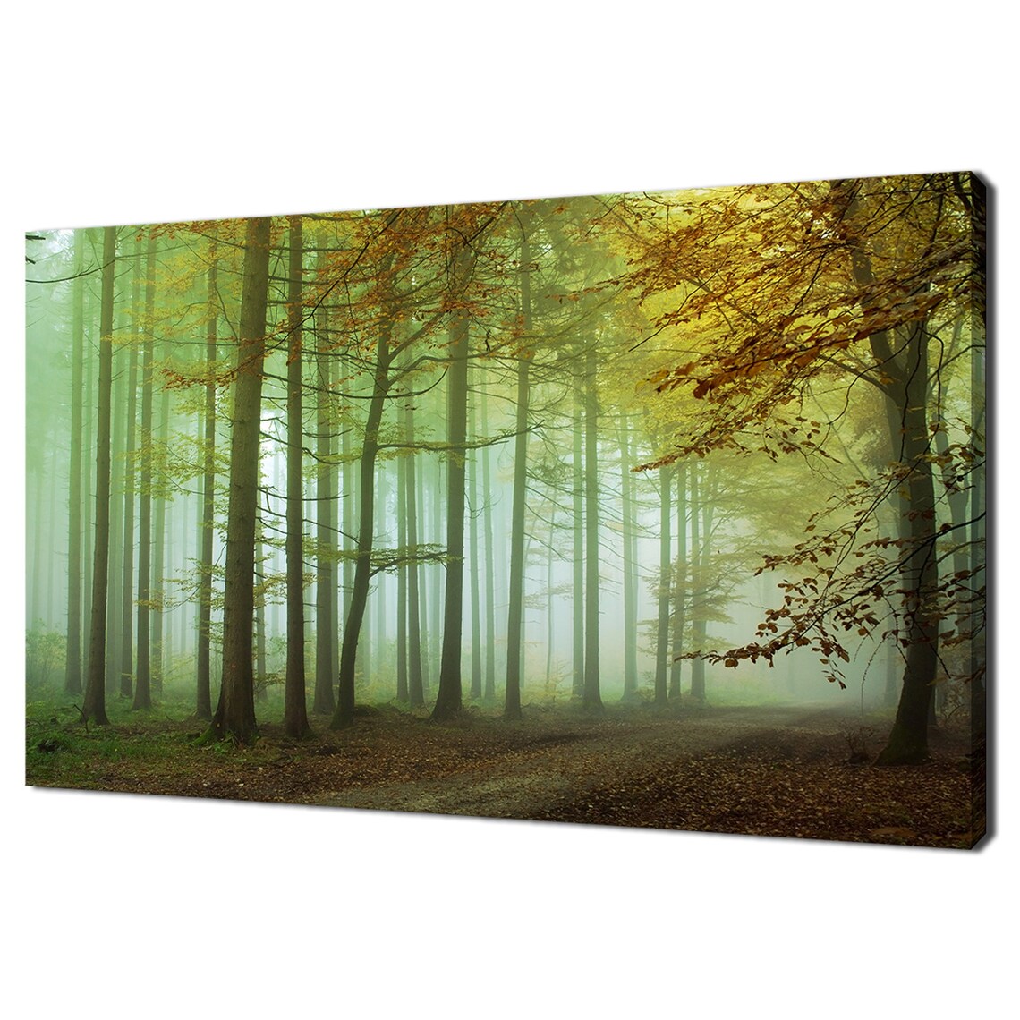 Misty Autumn Forest Morning Light Golden Leaves Landscape Photo Poster
