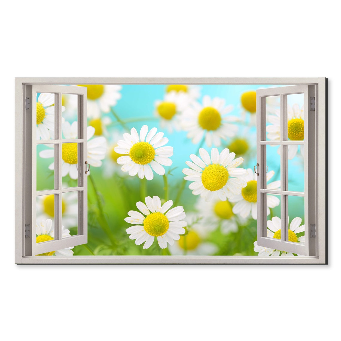 White Chamomile Flowers Open Window Spring Meadow Travel Poster