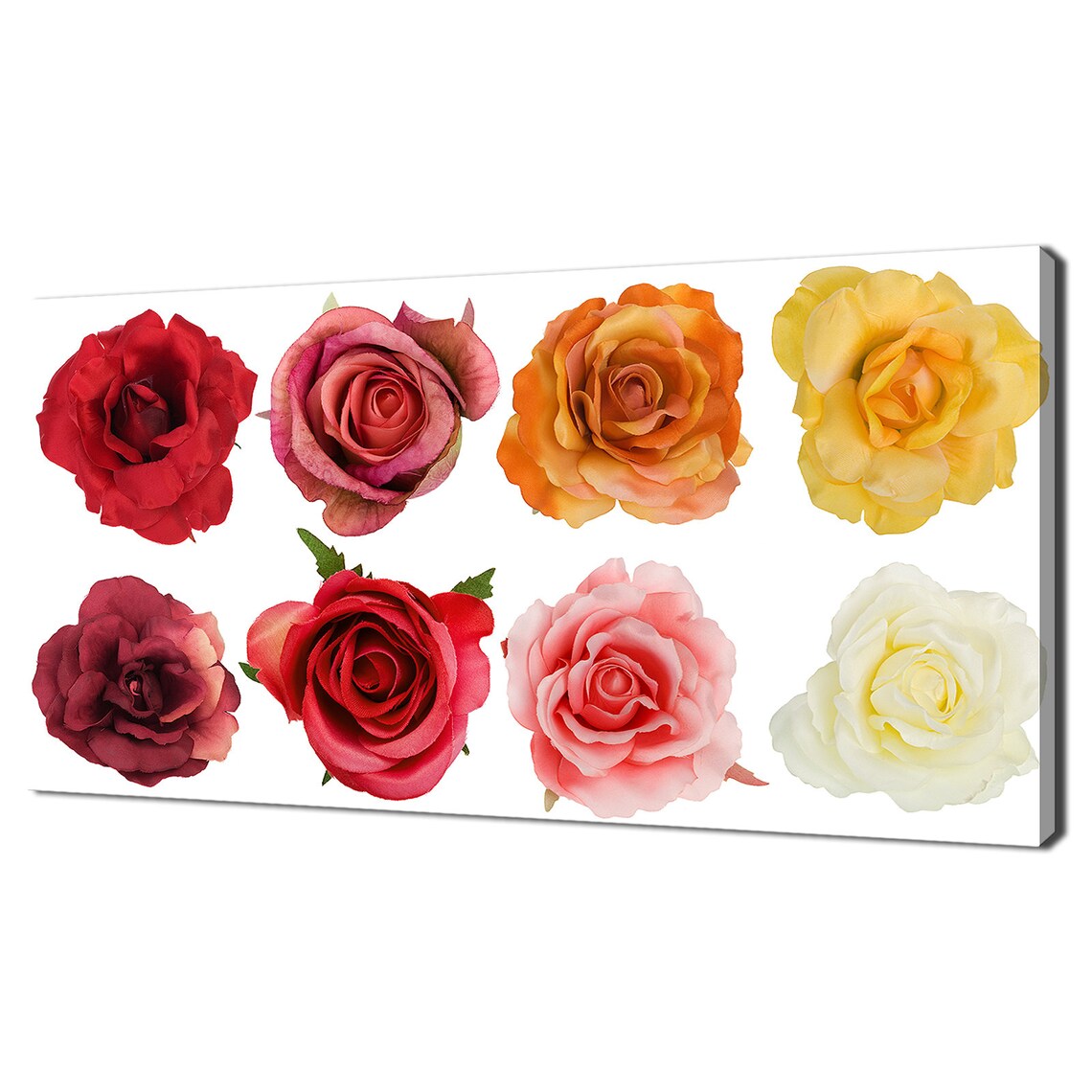 Red Pink Orange Yellow White Roses Collection Floral Bouquet Wall Art