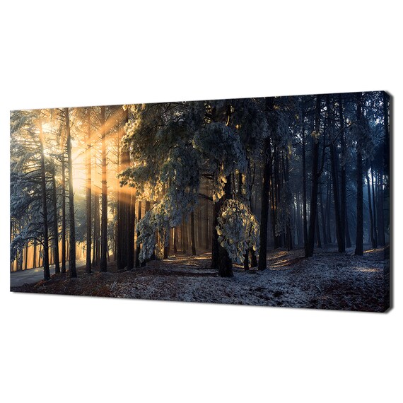 Sunrays In The Blue Foggy Forest Trees Modern Design Home Decor Print Wall Art Picture Wall Hanging