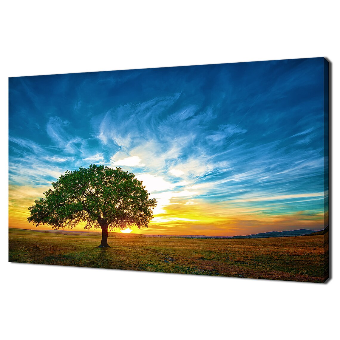 Sunset Over Oak Tree, Modern Nature Landscape