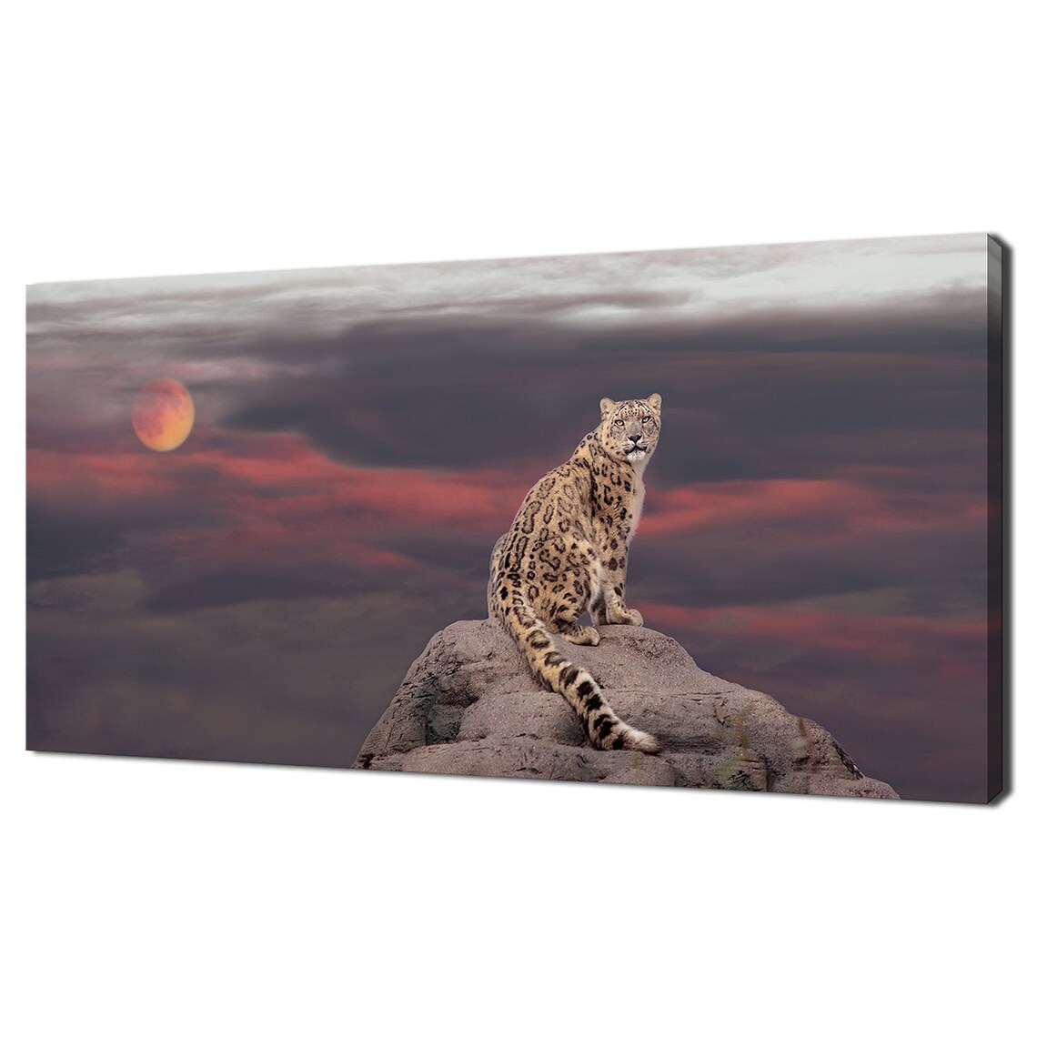 Snow Leopard In Moonlight, Modern Design Art Print