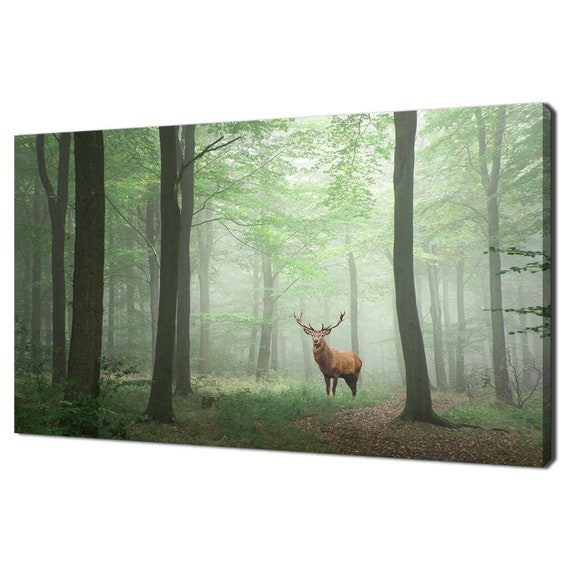 Red Deer Stag in Foggy Forest, Modern Art Print