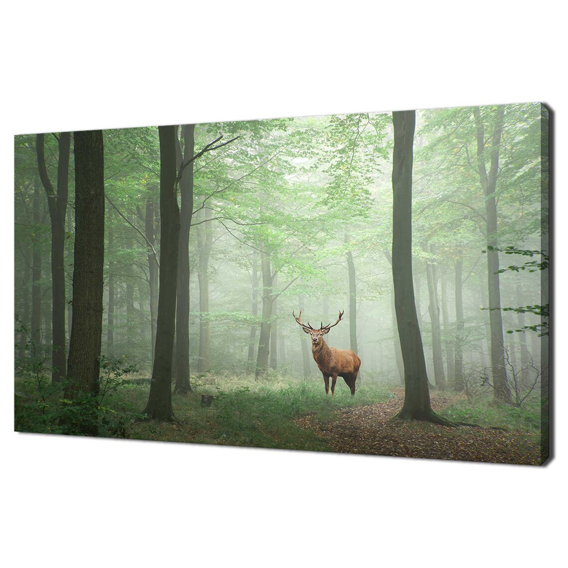 Red Deer Stag in Foggy Forest, Modern Art Print