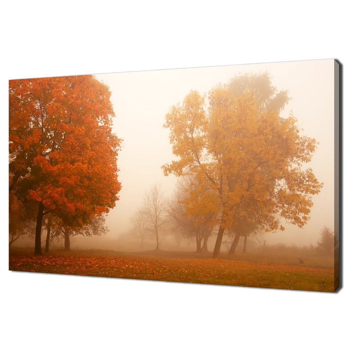 Misty Autumn Forest Foggy Morning Golden Trees Fall Landscape Poster