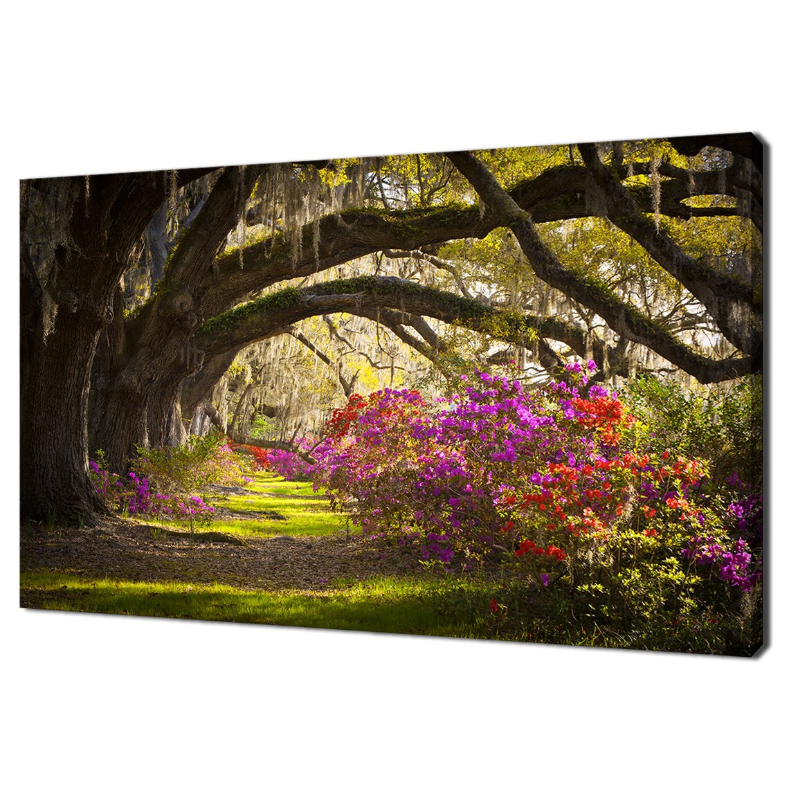 Charleston SC Spring Flowers, Modern Art Print