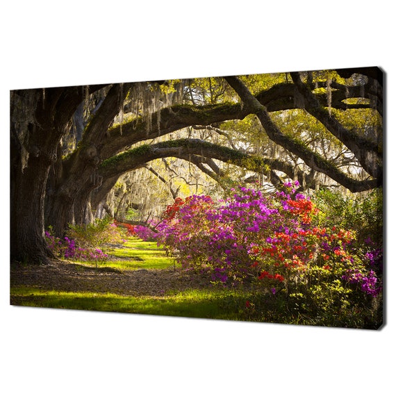 Charleston SC Spring Flowers, Modern Art Print