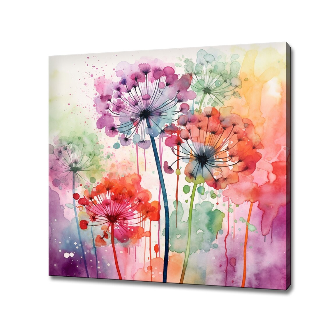 Red Pink Dandelion Seed Heads Colorful Watercolor Splash Art Poster