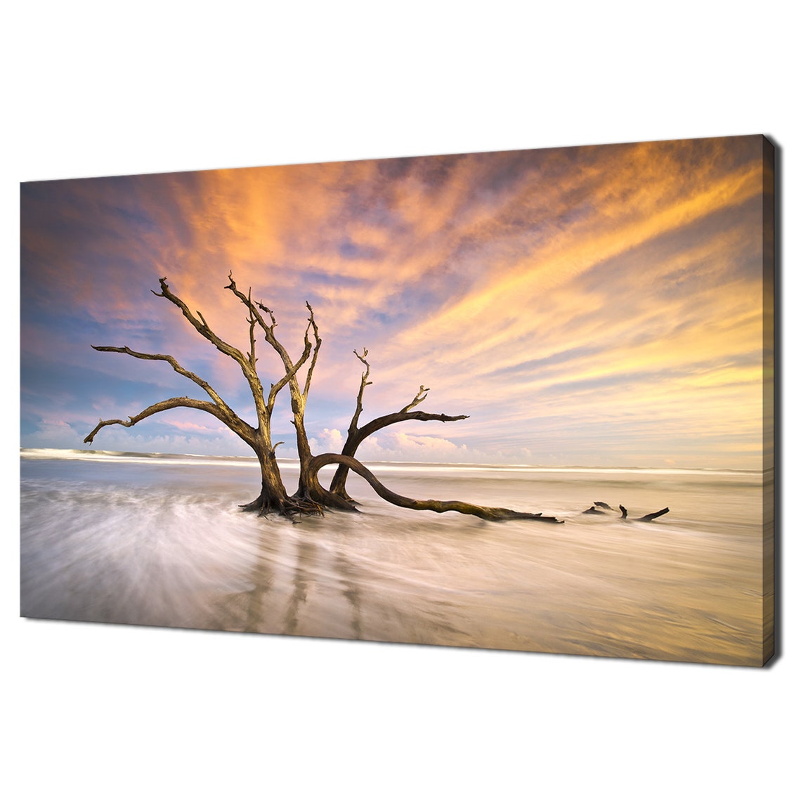 Driftwood Trees On Beach At Colorful Sunset Ocean Landscape Poster