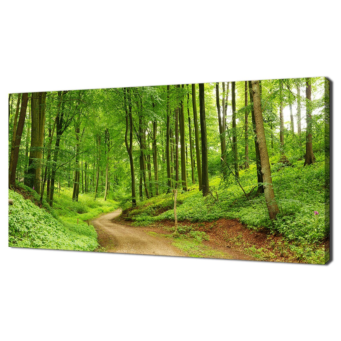 Road Path Through Green Forest Panorama Landscape Art Print