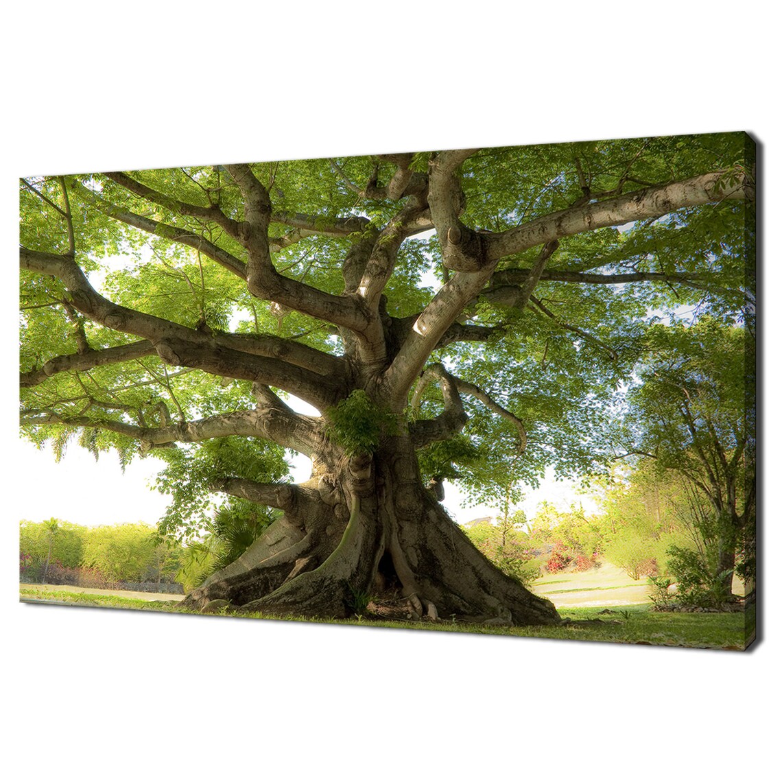 Peaceful Tree Modern Landscape Art Print