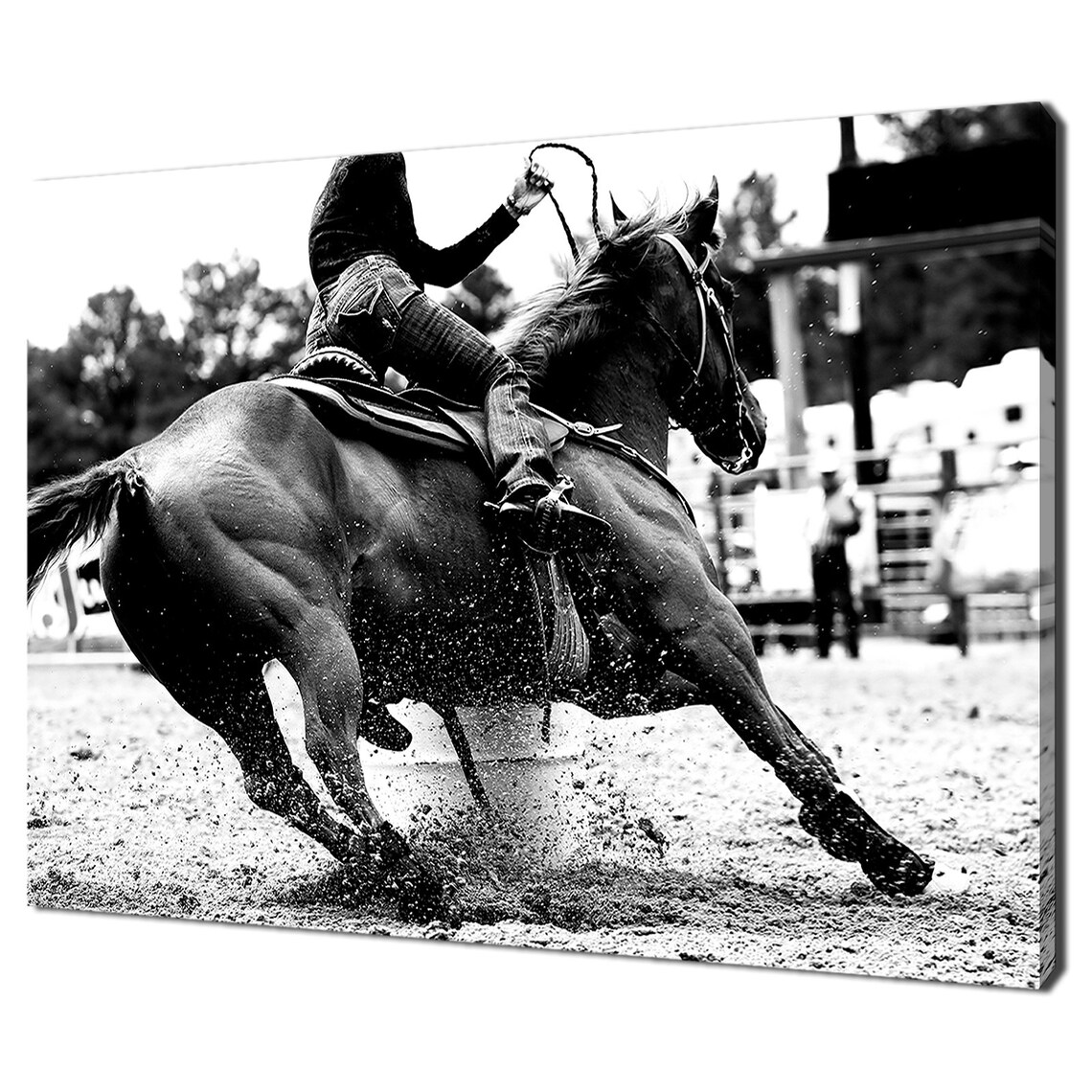 Rodeo Barrel Racer Horse Black And White Action Photography Art Poster