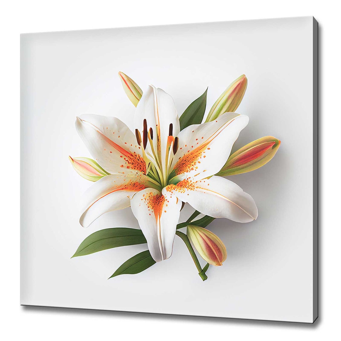 White Oriental Lily With Orange Speckles Elegant Floral Wall Art