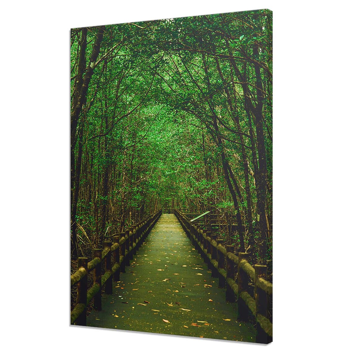 Path Through Green Trees Forest Modern Design