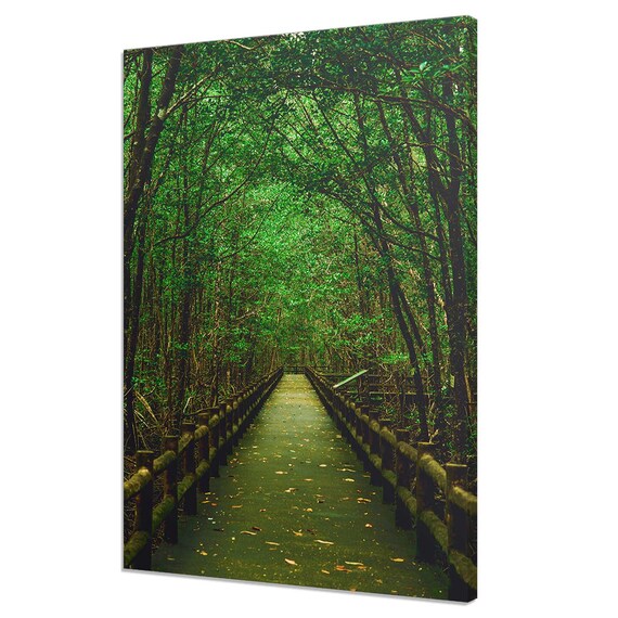 Path Through Green Trees Forest Modern Design