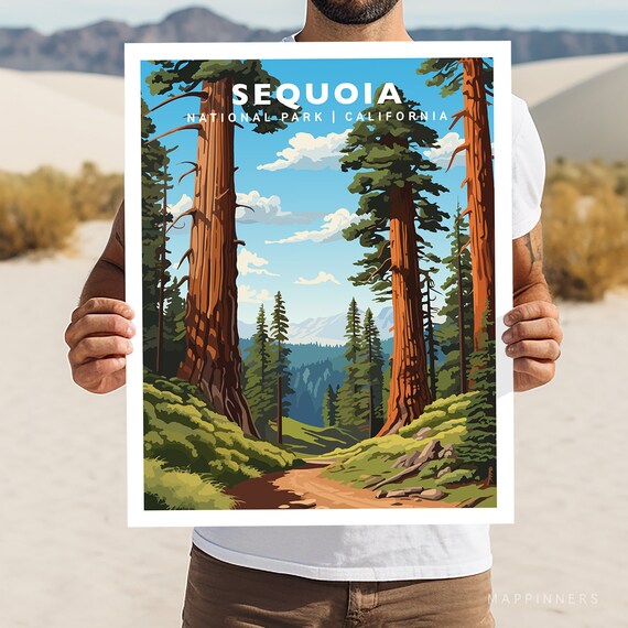 Sequoia California National Park Giant Redwood Forest Trail Poster