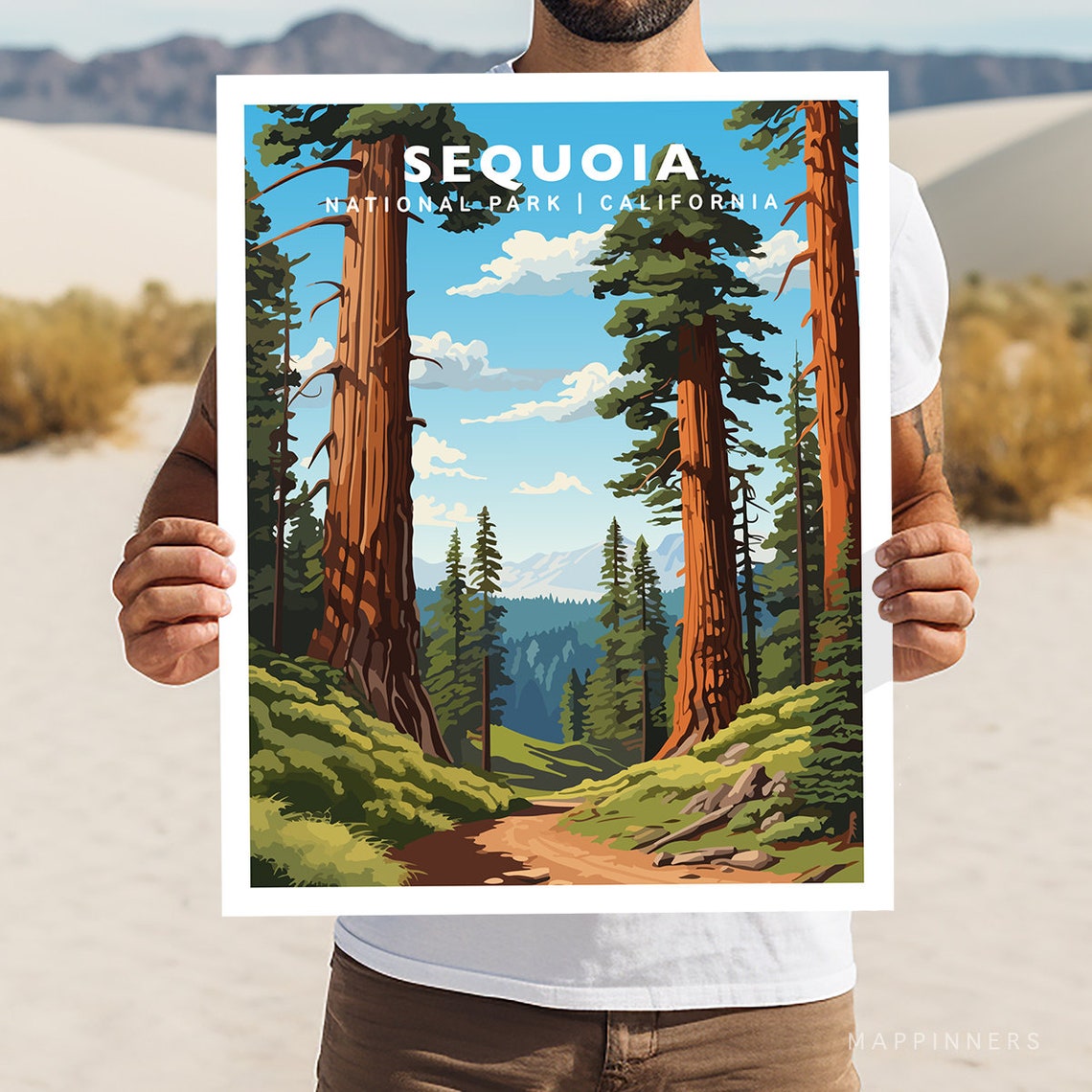 Sequoia California National Park Giant Redwood Forest Trail Poster