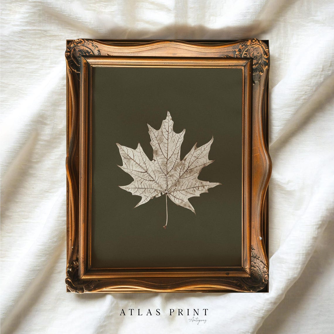White Maple Leaf On Dark Green Antique Fall Botanical Poster
