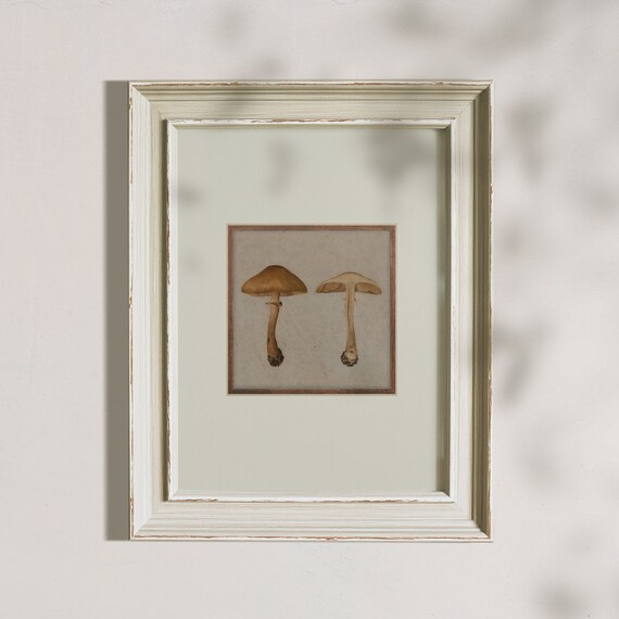 Vintage Botanical Mushroom Study Pair Antique Nature Art Poster
