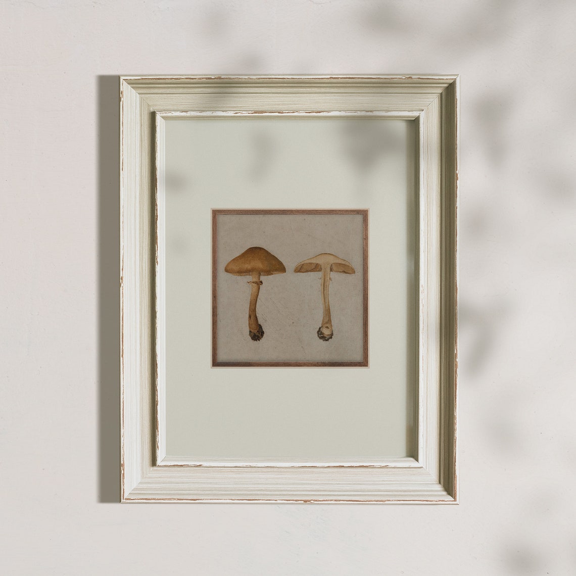 Vintage Botanical Mushroom Study Pair Antique Nature Art Poster