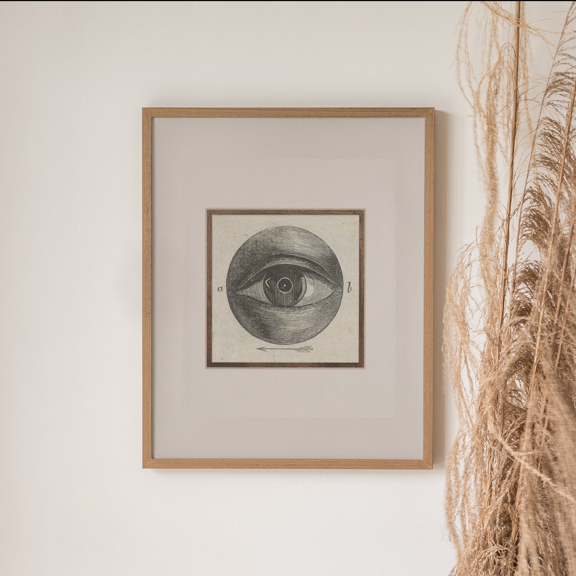 Odd Vintage Engraved Eye Diagram Surreal Antique Anatomy Poster - Image 2
