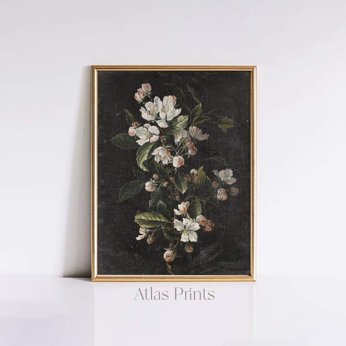 Dark Floral Apple Blossom Black Background Moody Botanical Poster