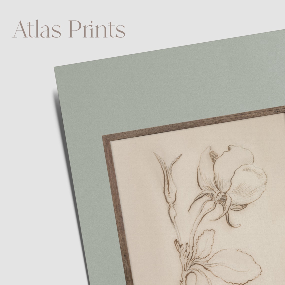 Vintage Rose Sketch Botanical Sepia Line Drawing Minimalist Poster - Image 3