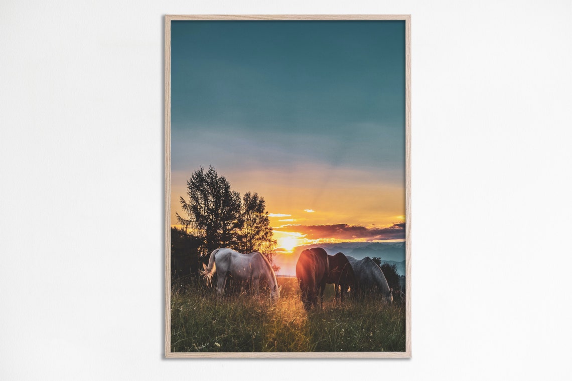 Three Horses Grazing At Sunset Golden Pasture Photo Wall Art