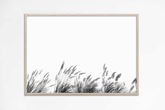 Black And White Pampas Grass Minimalist Botanical Photo Poster