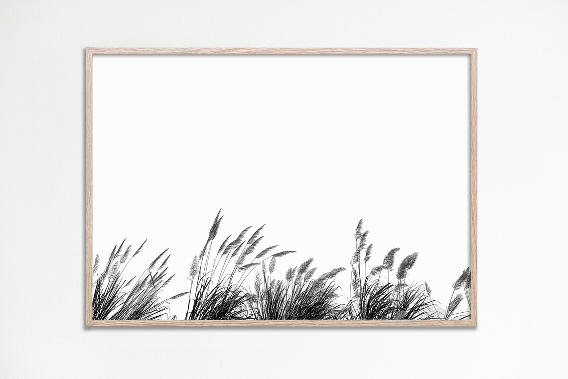 Black And White Pampas Grass Minimalist Botanical Photo Poster