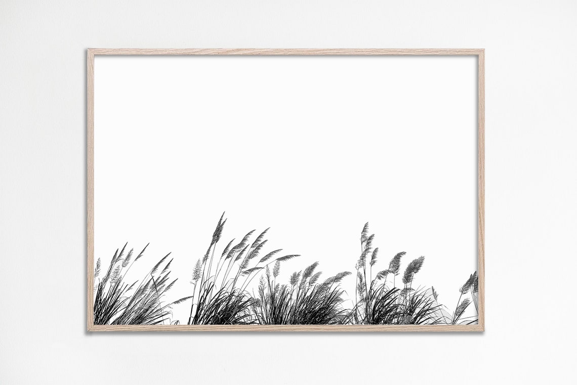 Black And White Pampas Grass Photo Minimalist Tropical Print Neutral Botanical Wall Art Modern Farmhouse Prints