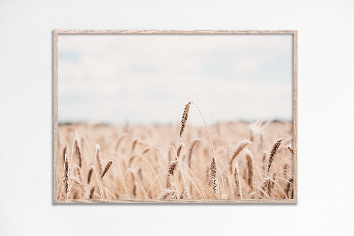 Wheat Field Art Print, Country House Landscape