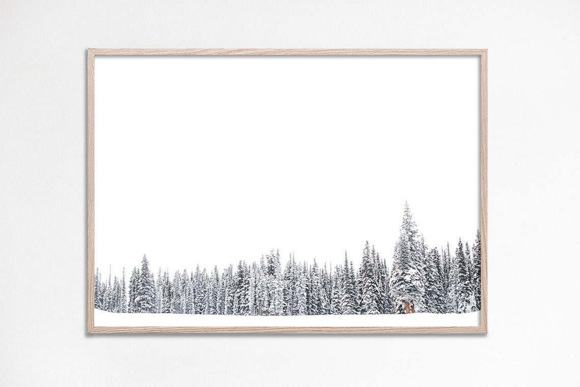 Minimalist Snowy Pine Forest Treeline Winter Photography Poster