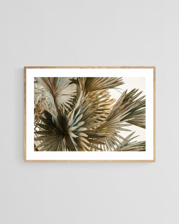 Palm Tree Photo, Tropical California Wall Art