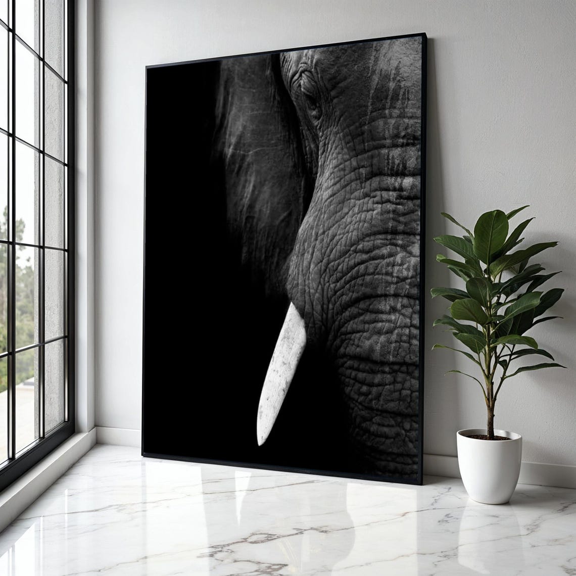 Elephant Face Closeup Tusk Dramatic Black Background Monochrome Poster