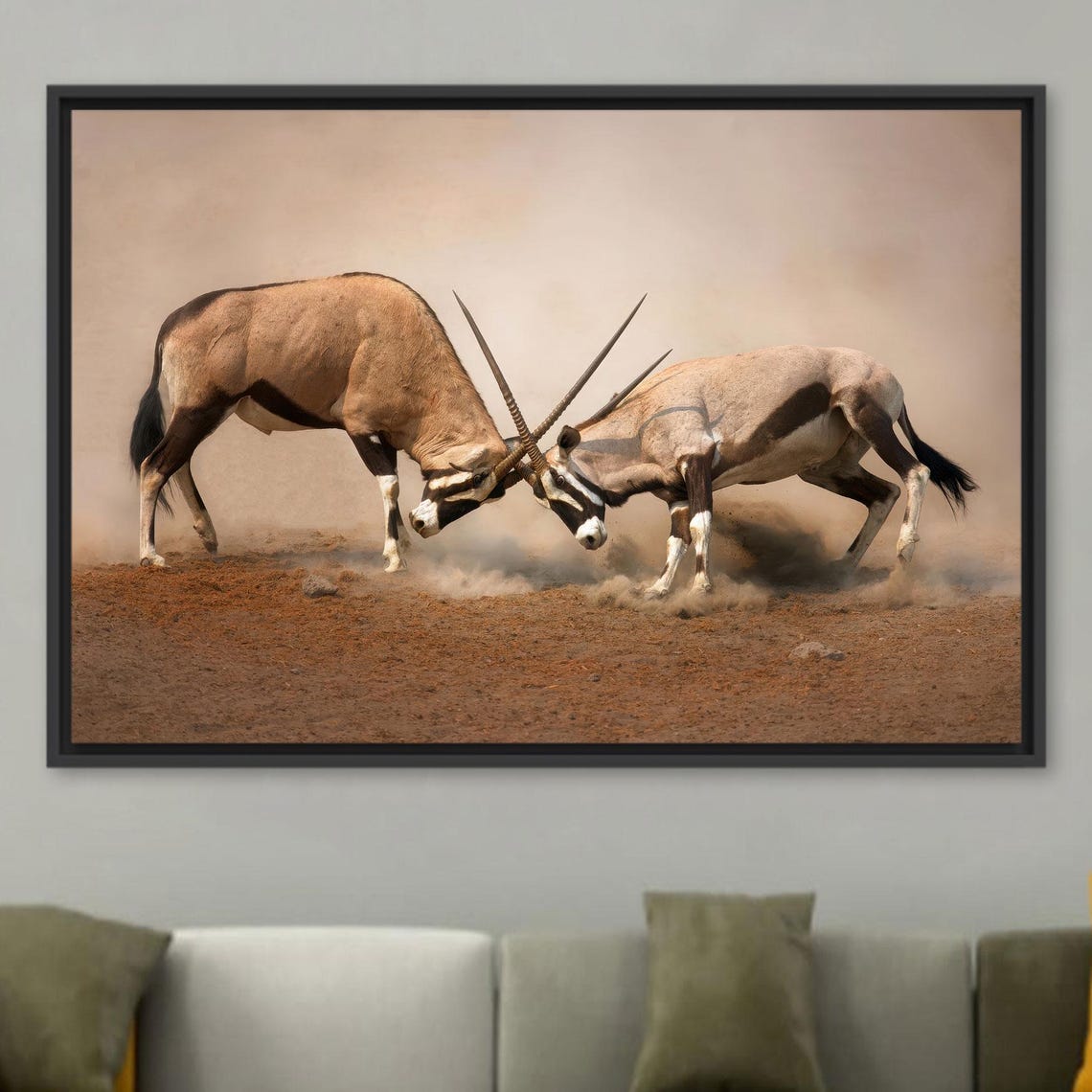 Oryx Antelopes Locking Horns African Wildlife Photography Poster
