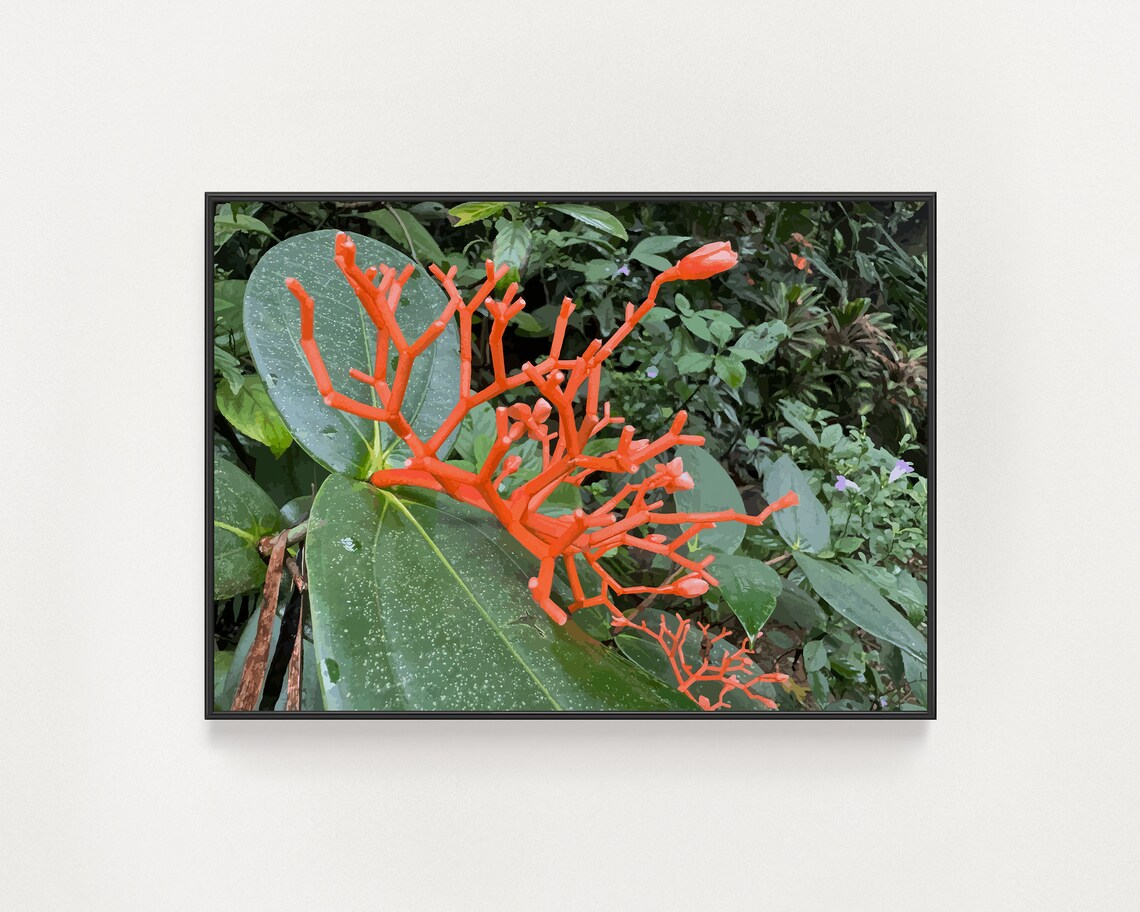 Kauai Botanical Art Print, Flowers Of Hawaii