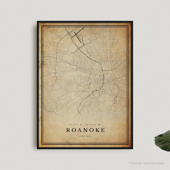 Roanoke Virginia Vintage City Street Map Antique Style Wall Art Decor